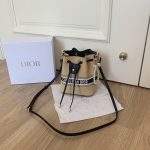Beauty Transforms Water Bucket Bag